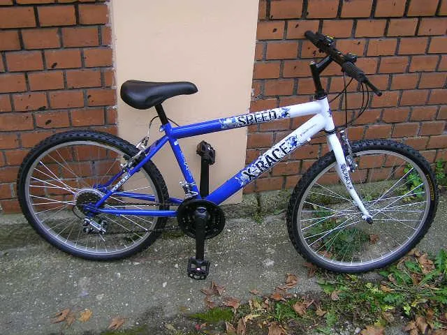 Biciclette da montagna & #13; & #13; «1. Arrow2. Speed» — foto 1 dell'alert A12/0385/13