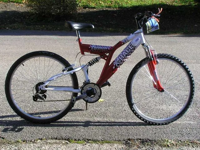 Biciclette da montagna & #13; & #13; «1. Arrow2. Speed» — foto 2 dell'alert A12/0385/13