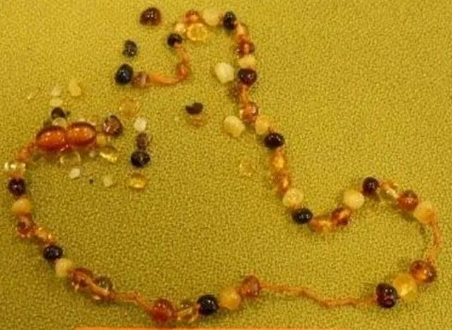 Collana di dentizione ambrata & #13; & #13; «1. Baroque Clasp Anklet - 2. Baroque Multi Baby Necklace» — foto 4 dell'alert A12/1188/12