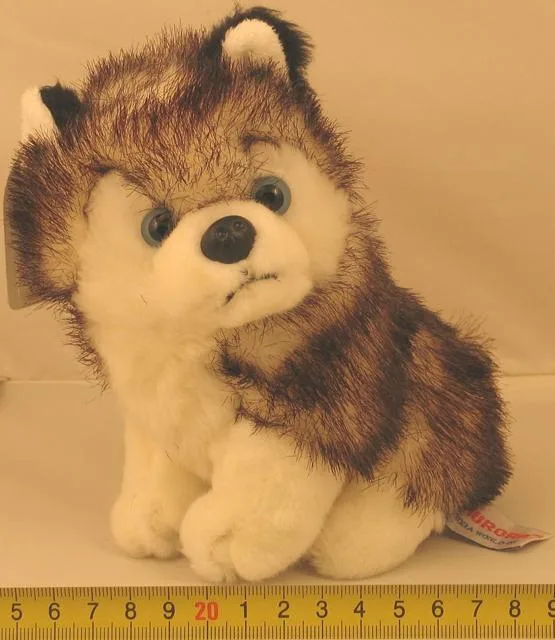 1) Peluche orso 2) Peluche cane & #13; & #13; — foto 2 dell'alert 0069/11