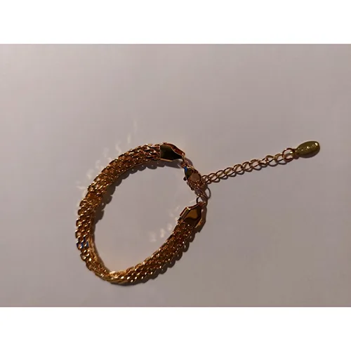 Bracciale «1 pièce Bracelet métallique tressé pour femmes, mode élégante, polyvalente, sexy pour so…» — foto 1 dell'alert SR/03965/25