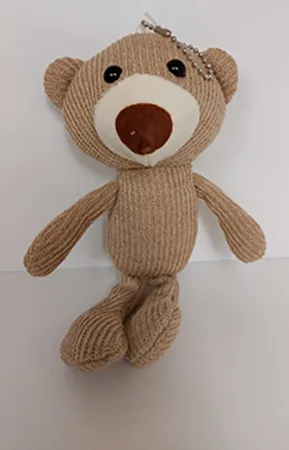 Giocattolo morbido «1pc Bear Design Pet Plush Toy» (Shein)