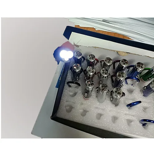 Puntatore laser «2 in 1 Laser e luce» — foto 6 dell'alert SR/03147/25
