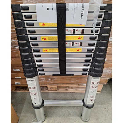 Scala telescopica «3.8M Telescopic Ladder» (TEEMZA)
