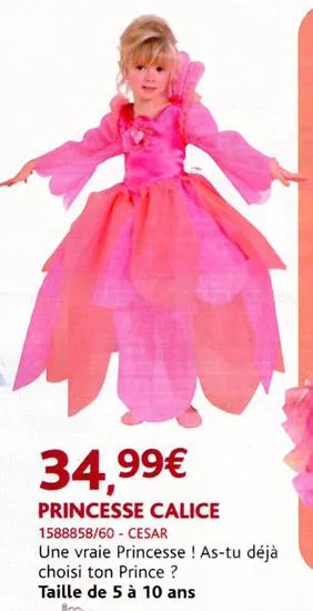 Abito fantasia – Abito Principessa Calice (FESTIVAL)