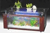 Acquario d'Elite — foto 1 dell'alert 0206/09