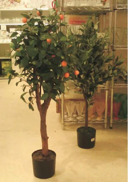 Albero con foglie e frutti (Kika)