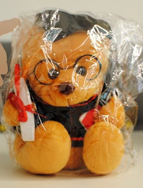 Peluche orso «Amycute» (Unknown)