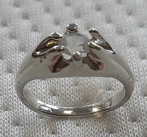 Anello — foto 1 dell'alert INFO/00122/22