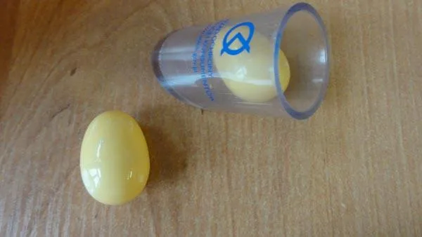 Giocattolo push-along «Animal raw eggs» — foto 4 dell'alert A12/0619/18