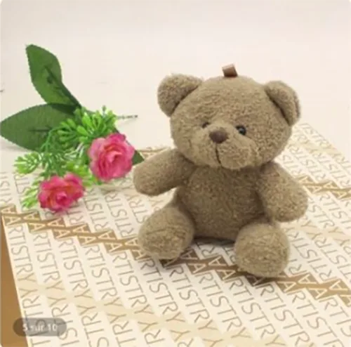 Giocattolo morbido «Animaux Poupée Bébé Jouet pour Enfants Soft Bear Doll Bear Peluche Toys Peluche Bear Key…» — foto 2 dell'alert A12/01107/24