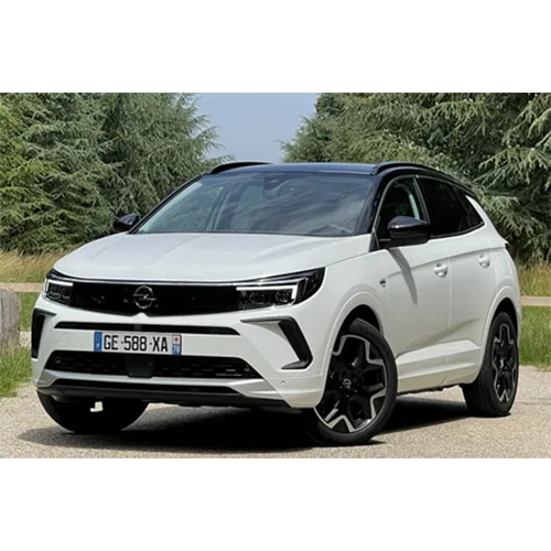 Autovettura / Veicolo commerciale leggero «Astra L, Combo, Corsa, Crossland X, Grandland X, Mokka, Zafira» — foto 5 dell'alert SR/02659/25