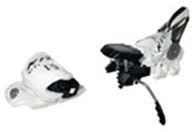 Attacchi sci "Twin Cam" — foto 2 dell'alert 0067/11