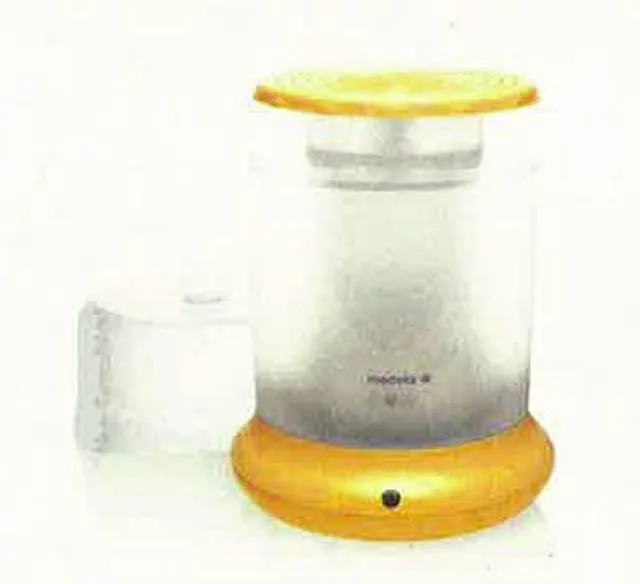 Sterilizzatore elettrico «B-Well Steam Steriliser» — foto 1 dell'alert A12/0660/14
