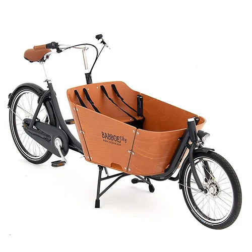 Bici da carico «Babboe City» — foto 1 dell'alert A12/00675/24