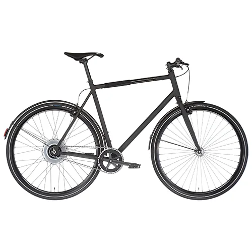 Bicicletta elettrica «Backspin Zehus» — foto 1 dell'alert A12/01842/24