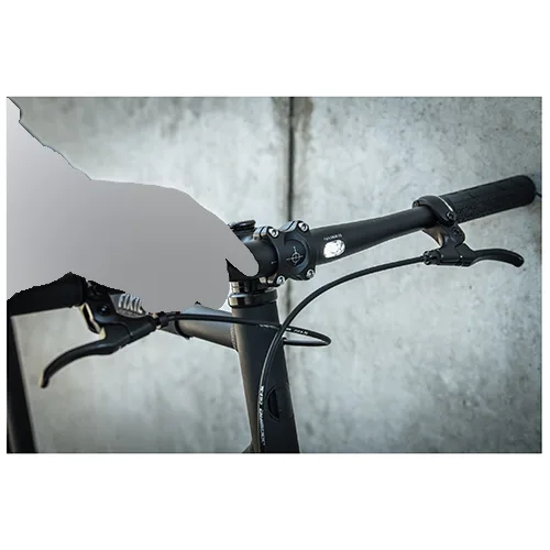 Bicicletta elettrica «Backspin Zehus» — foto 5 dell'alert A12/01842/24