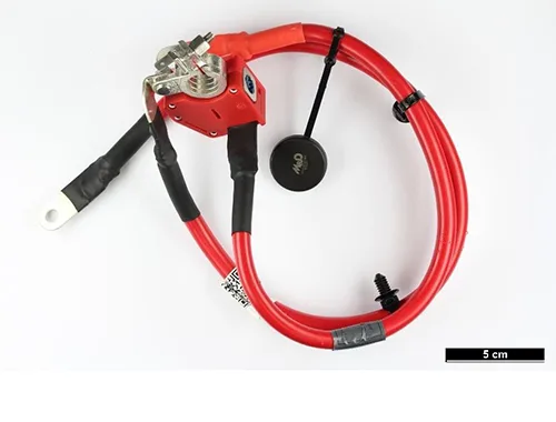 Terminali di sicurezza della batteria/parte del veicolo «Batterieadapter» — foto 2 dell'alert A12/02216/23