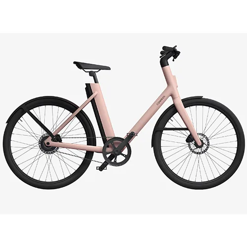 Bicicletta elettrica — foto 1 dell'alert SR/01729/25