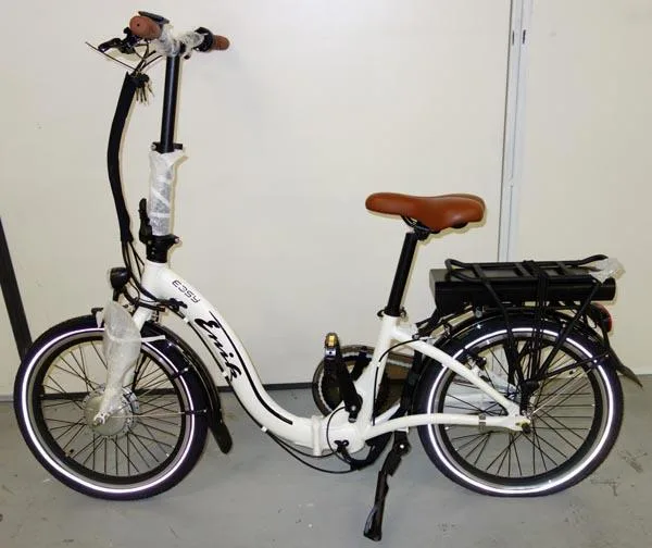 Bicicletta elettrica — foto 1 dell'alert A11/0020/19
