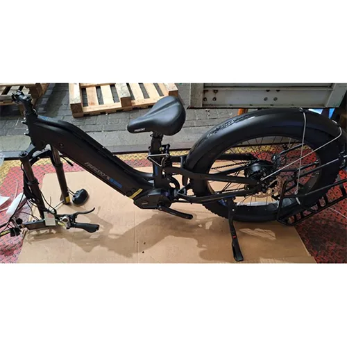 Bicicletta elettrica — foto 4 dell'alert SR/02811/26