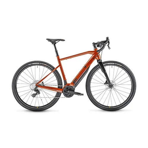 Bicicletta elettrica — foto 2 dell'alert A12/03256/24