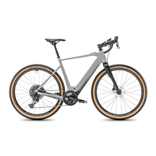 Bicicletta elettrica — foto 4 dell'alert A12/03256/24