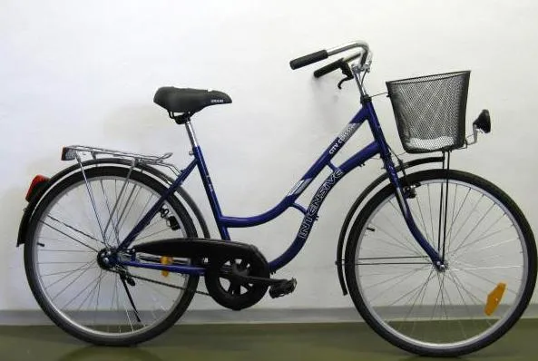 Bicicletta intensiva City Classic (KENZEL)