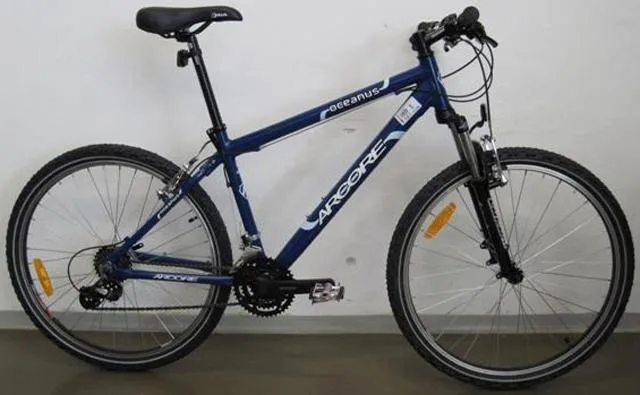 Bicicletta "Oceanus" &amp; #13; &amp; #13; (ARCORE)
