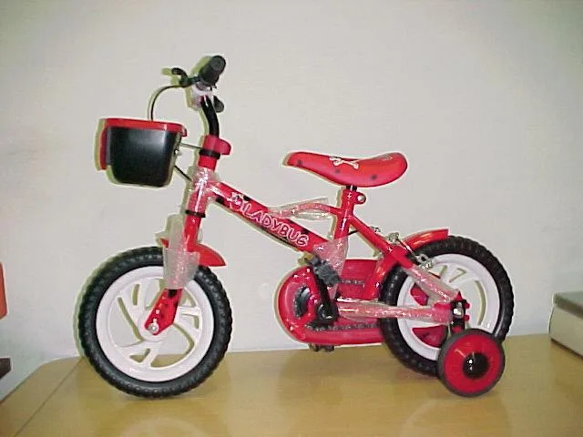 Bicicletta per bambini