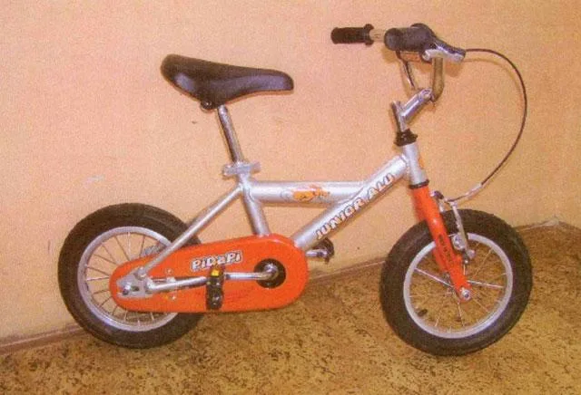 Bicicletta per bambini – Junior Alu PiDaPi — foto 2 dell'alert 0920/09