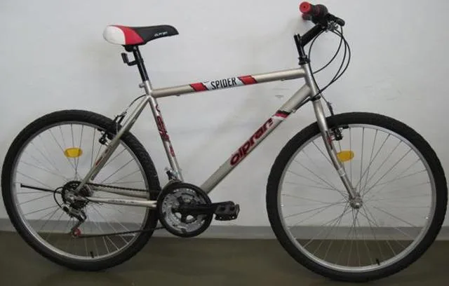 Bicicletta "Spider" &amp; #13; &amp; #13; (Olpran)