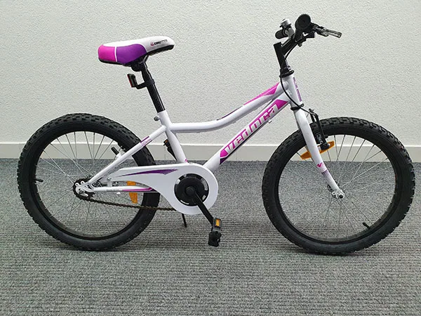 Bicicletta per bambini «Bicycle for young adult» — foto 1 dell'alert A12/01162/21