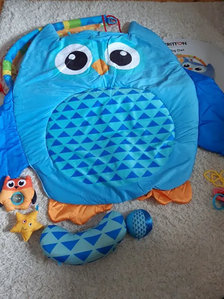 Stuoia di gioco di attività «Big Owl» — foto 2 dell'alert A11/00077/20