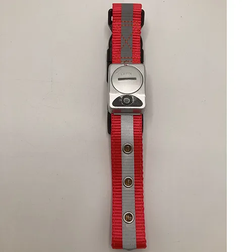 Collana per cani «Blinkande hundhalsband» (Dogman)