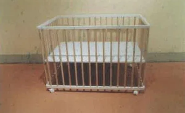 Box in legno — foto 2 dell'alert A12/0059/19