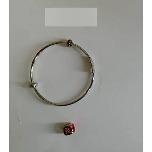Braccialetto «Bracciale in acciaio» — foto 1 dell'alert SR/00285/25
