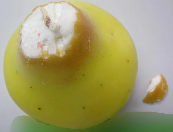 Candela decorativa (Cisl)