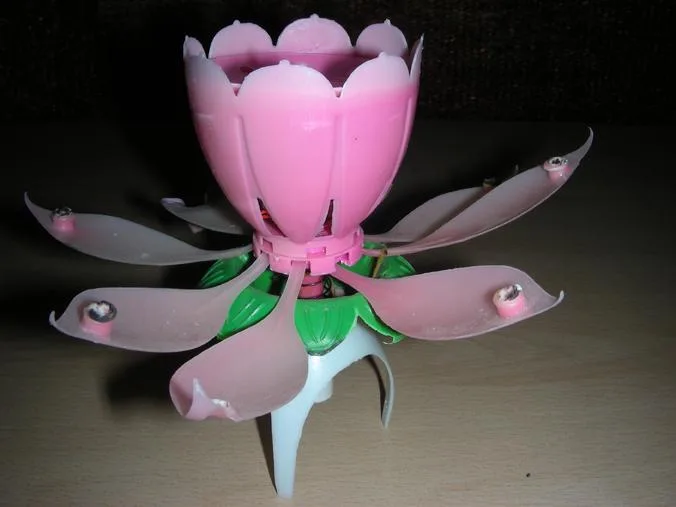 Candele a forma di fiore — foto 4 dell'alert 1504/08