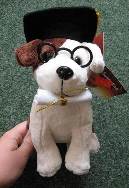 Cane peluche – Hanya (Sunny Tad)
