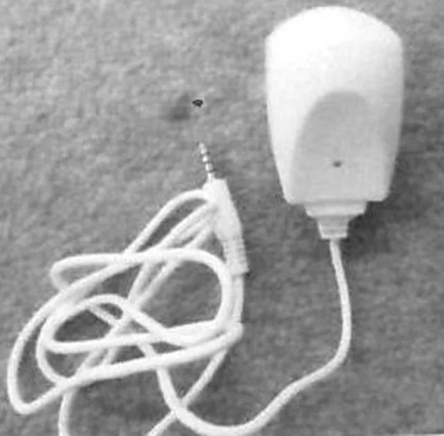 Caricabatterie "Home Charger" (I-power)