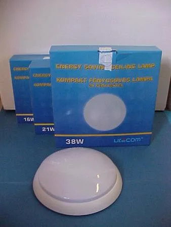 Ceiling lamp with 2D fluorescent lamp (fixed luminaire) — foto 5 dell'alert 0785/06