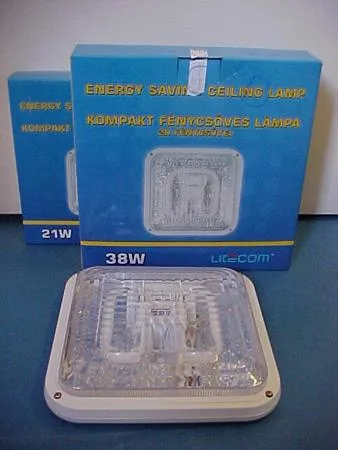 Ceiling lamps with 2D fluorescent lamp (fixed luminaire). — foto 10 dell'alert 0786/06