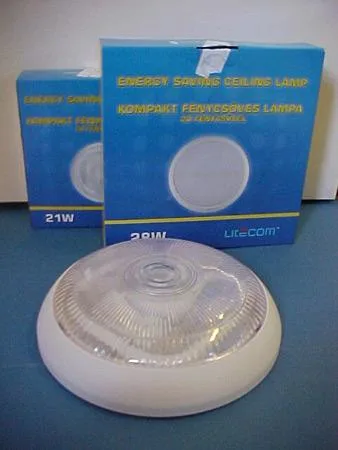 Ceiling lamps with 2D fluorescent lamp (fixed luminaire). — foto 5 dell'alert 0786/06