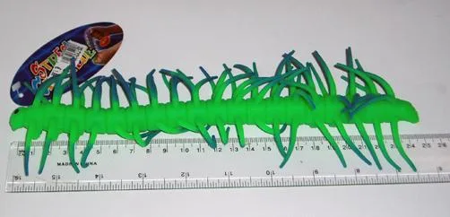 Centipede stretch — foto 3 dell'alert 0566/09