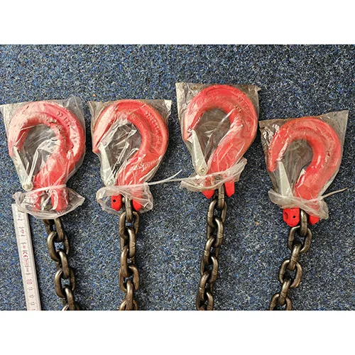 Imbracatura a catena «Chain Sling» — foto 10 dell'alert SR/00628/26