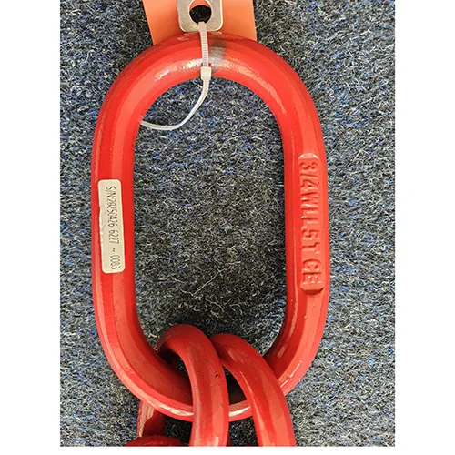 Imbracatura a catena «Chain Sling» — foto 6 dell'alert SR/00628/26