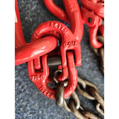 Imbracatura a catena «Chain Sling» — foto 7 dell'alert SR/00628/26