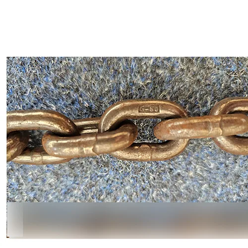 Imbracatura a catena «Chain Sling» — foto 8 dell'alert SR/00628/26