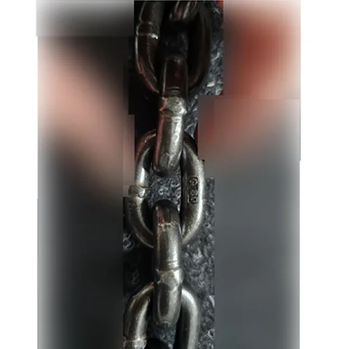 Imbracatura a catena «Chain Sling» — foto 10 dell'alert SR/00664/26